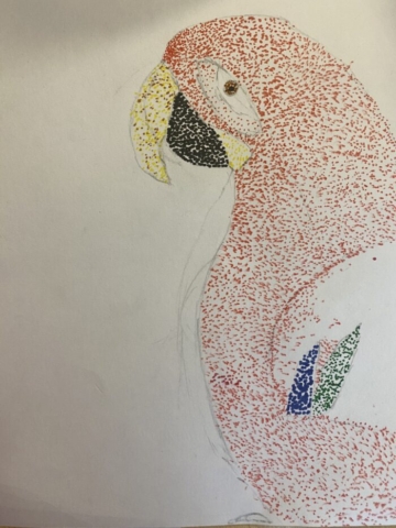 21C75EE2-FD8C-4362-AF43-519351F9AF55