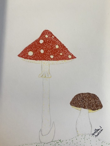 D2E1EC21-1555-41FD-8761-02B3DEC17339