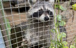 4.B navštívila Ekocentrum Huslík