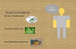 7.A Propojen&iacute; informatiky a př&iacute;rodopisu